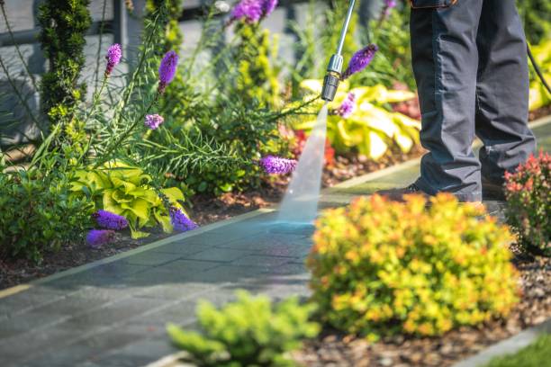 Best Gutter Cleaning and Brightening in West Wood, UT