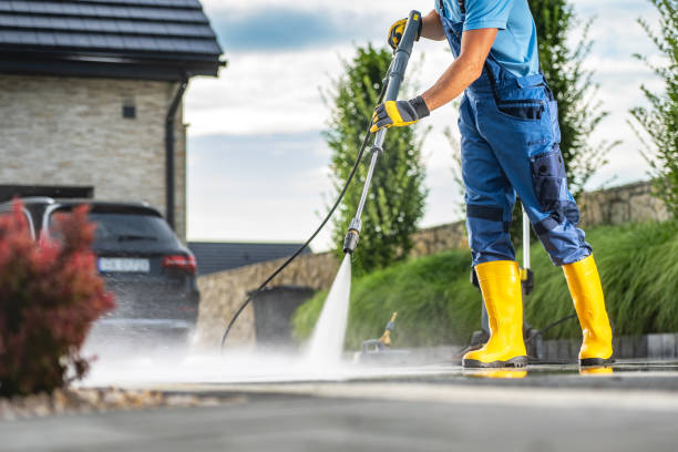 Best Soft Washing for Delicate Surfaces in West Wood, UT